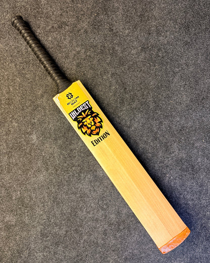 Without Scoop Hard Tennis Bat 
