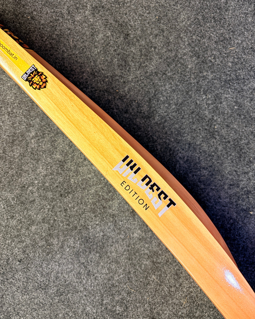 Without Scoop Hard Tennis Bat 